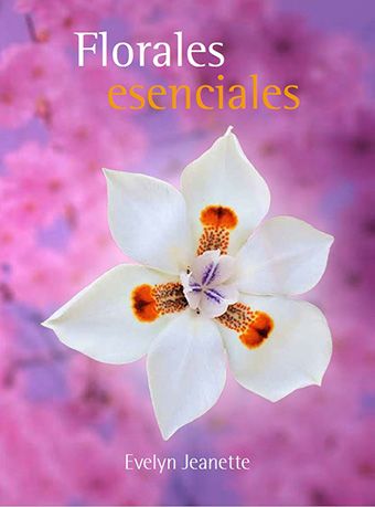 Imagen de Odoo y bloque de texto